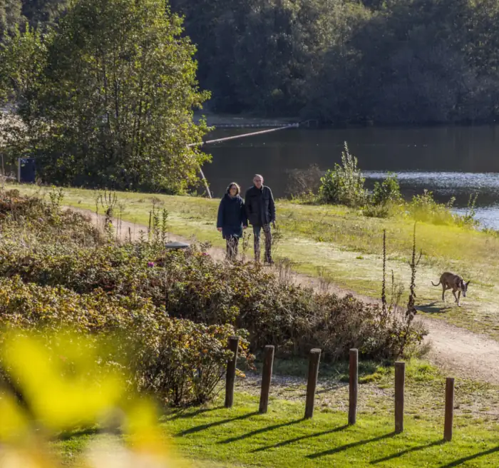 Walkers with a dog along the lake at Parkhotel Horst